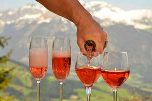 rose wines