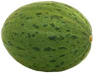 honeydew