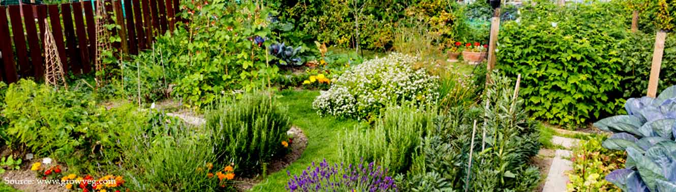 large herb graden