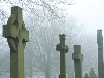 A cemetery plot