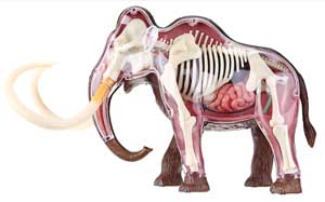 woolly mammoth kit