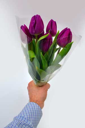 bouquet of tulips 