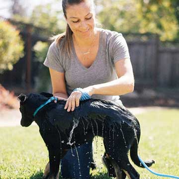  Aquapaw Dog Bathing Glove
