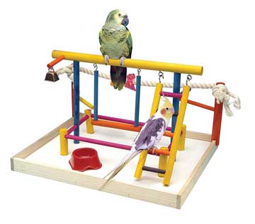 Plax Bird Activity Center