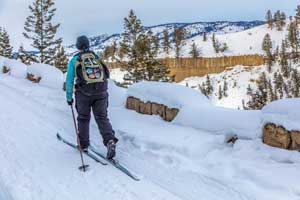 cross country skier