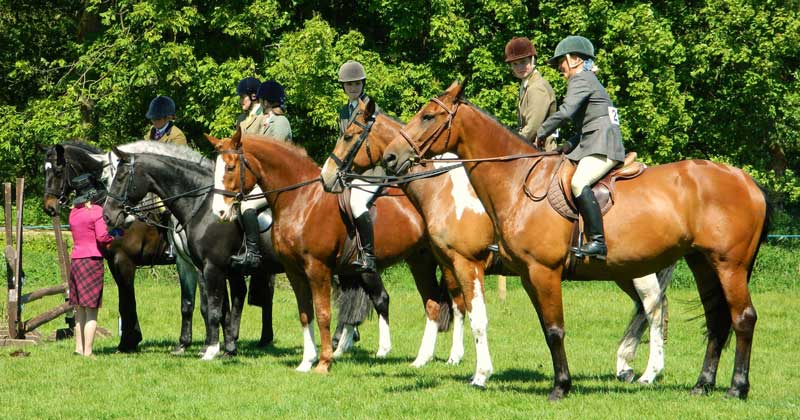 people on horses