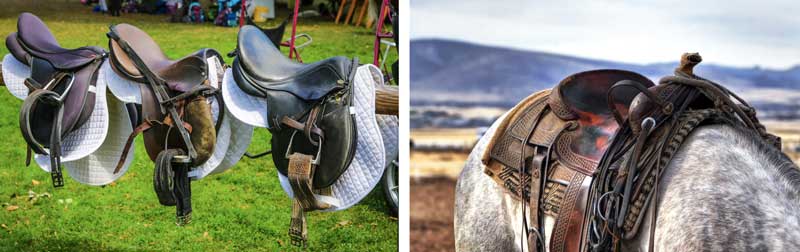 2 shots of saddles