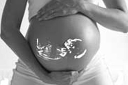 babybelly